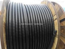 天津市電纜總廠橡塑電纜廠控制電纜產(chǎn)品展示